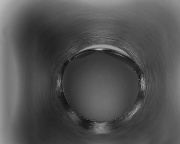 X0000087690143200705111328
