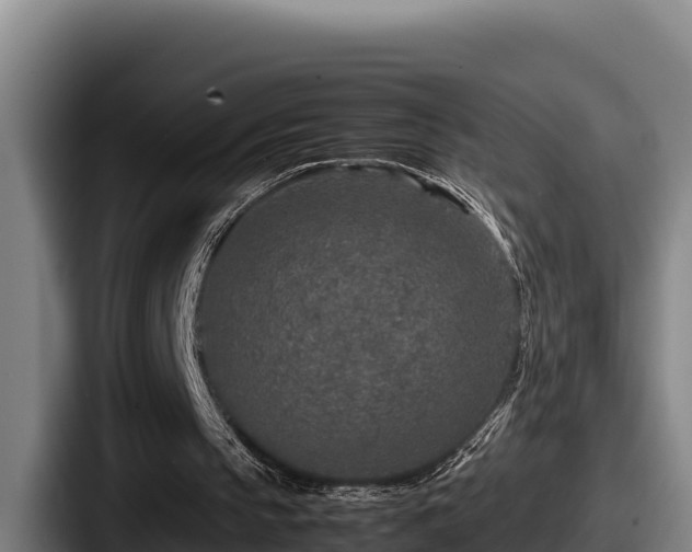 X0000087690145200705111327