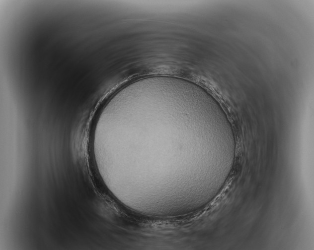 X0000087690146200705111327