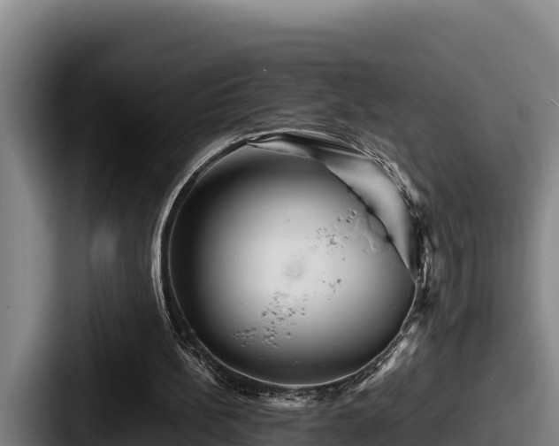 X0000087690148200705111327