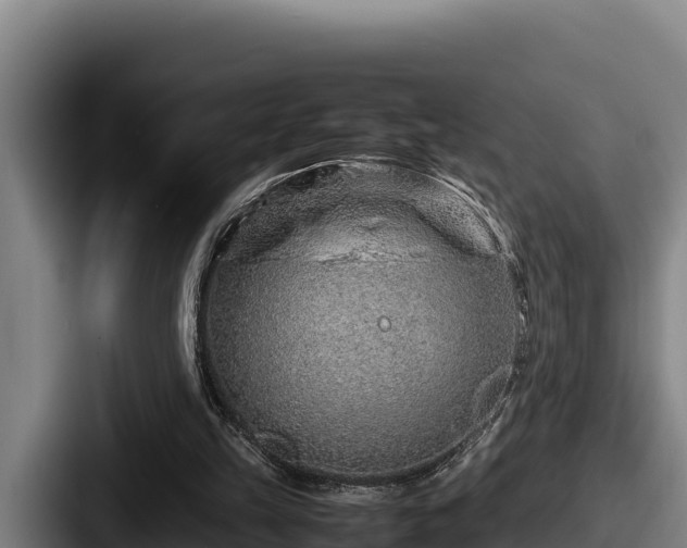 X0000087690149200705111327