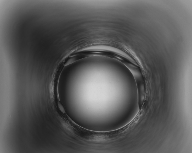 X0000087690154200705111327
