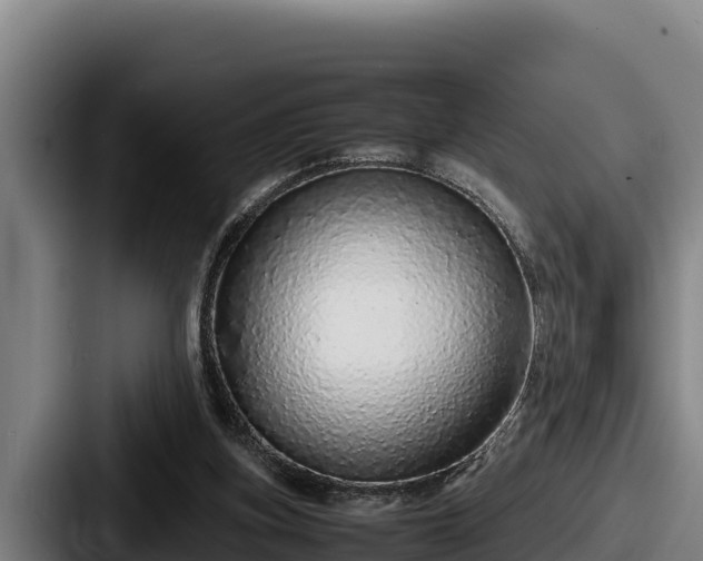 X0000087690155200705111327