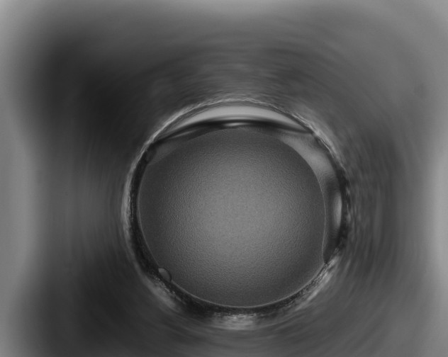 X0000087690156200705111327