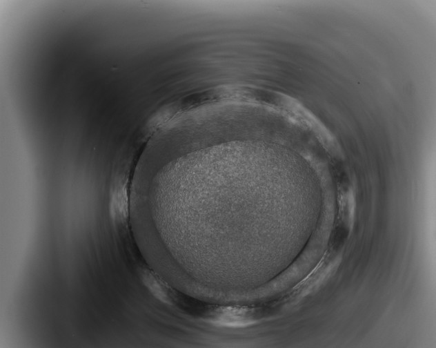 X0000087690158200705111327