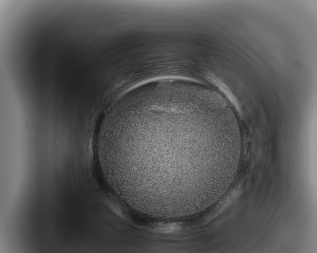 X0000087690161200705111327