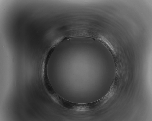 X0000087690163200705111328