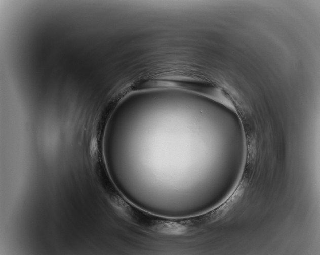 X0000087690166200705111328