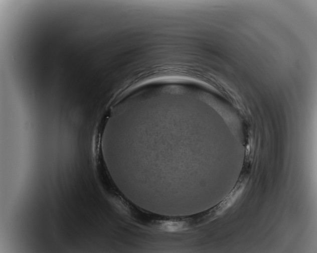 X0000087690168200705111328