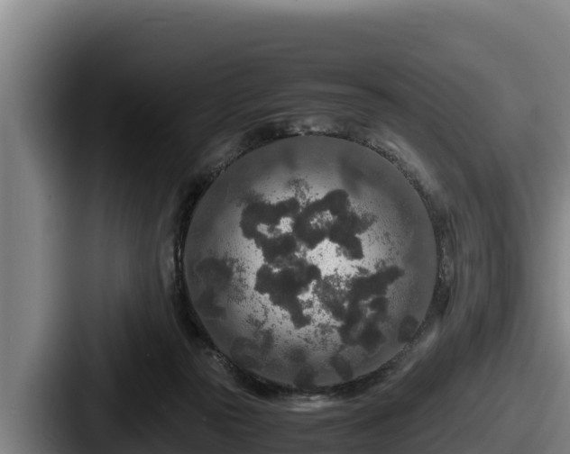 X0000087690169200705111328
