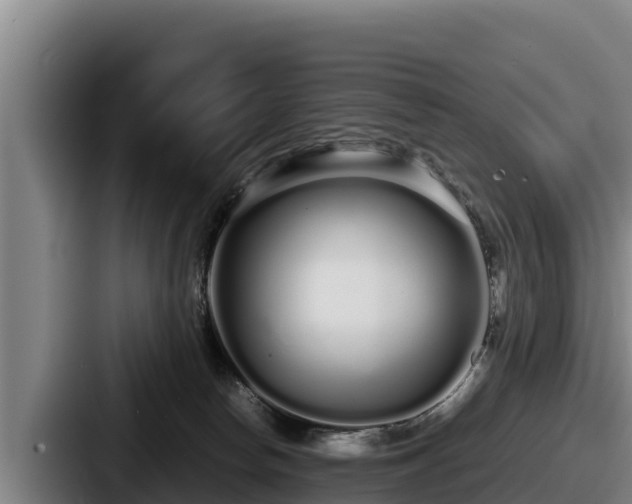 X0000087690178200705111328