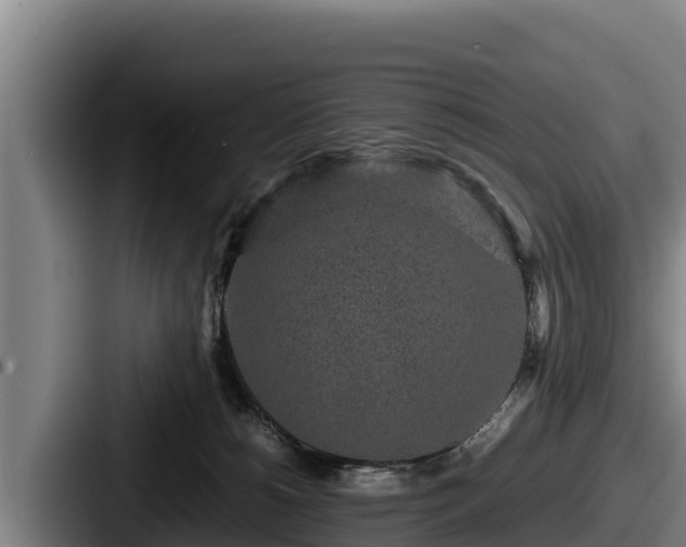X0000087690180200705111328