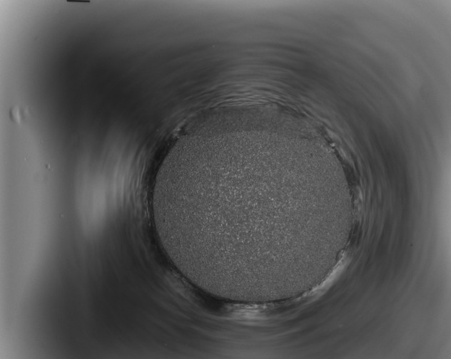 X0000087690182200705111328