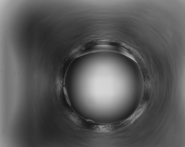 X0000087690188200705111328