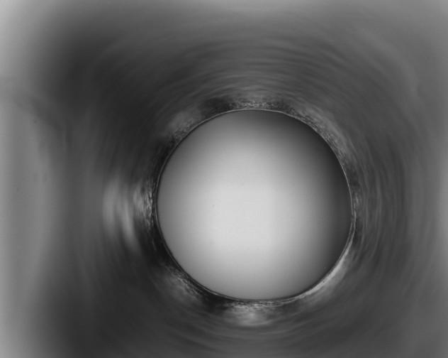 X0000087690190200705111328