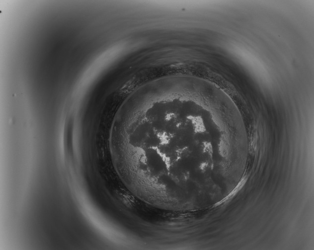 X0000087690191200705111328