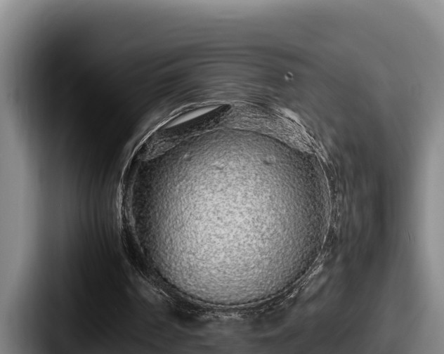 X0000087690194200705111327