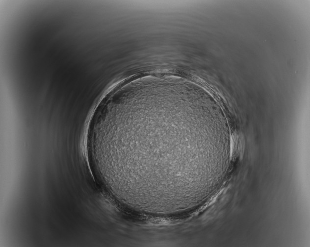 X0000087690195200705111327