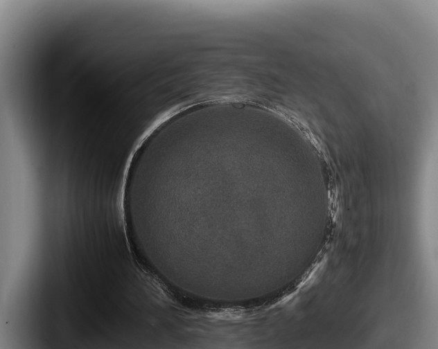 X0000087690196200705111327
