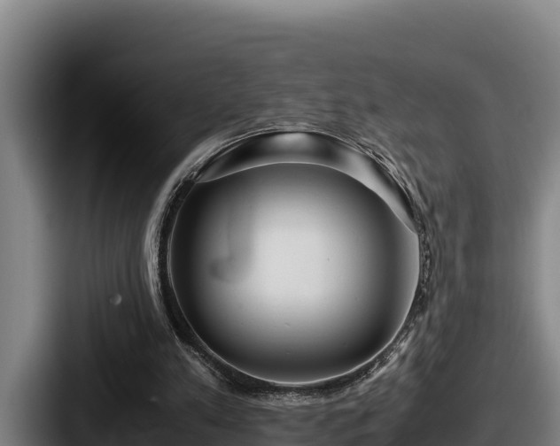 X0000087690197200705111327