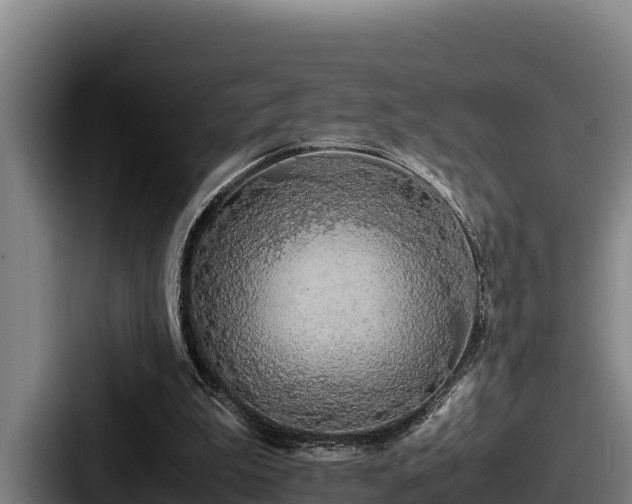 X0000087690199200705111327