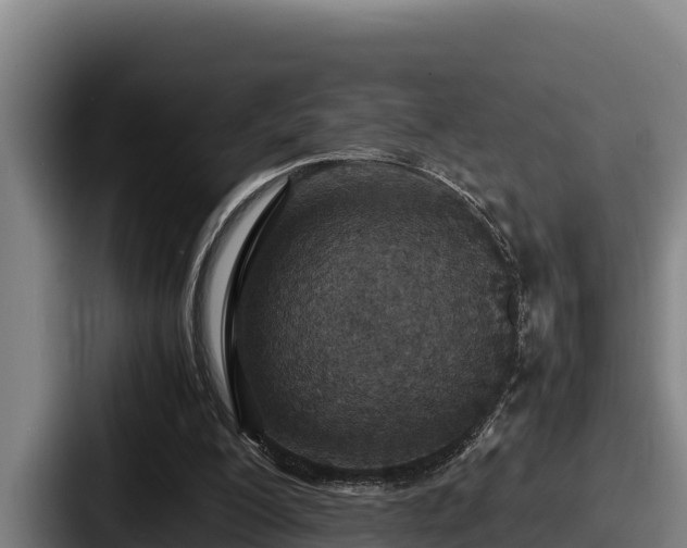 X0000087690200200705111327