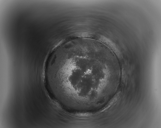 X0000087690202200705111327