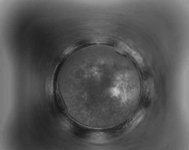 X0000087690203200705111327