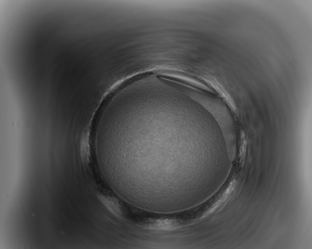 X0000087690204200705111327