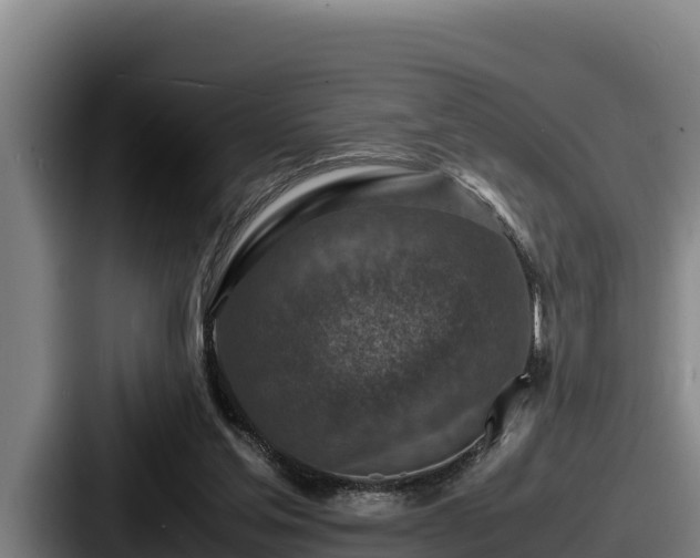 X0000087690205200705111327