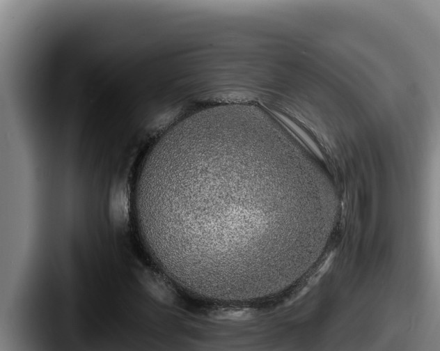 X0000087690206200705111327
