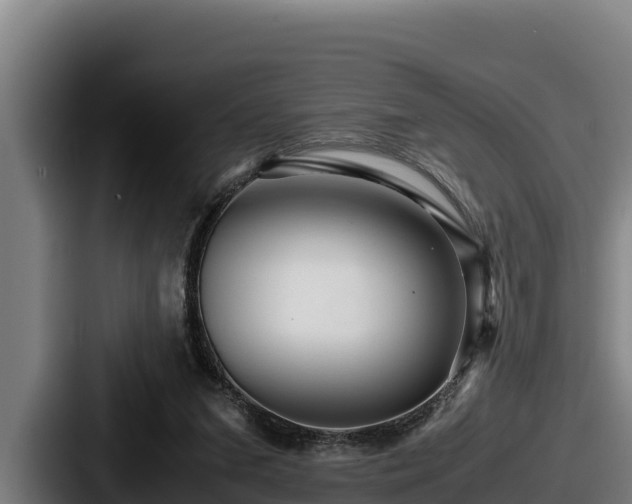 X0000087690207200705111327
