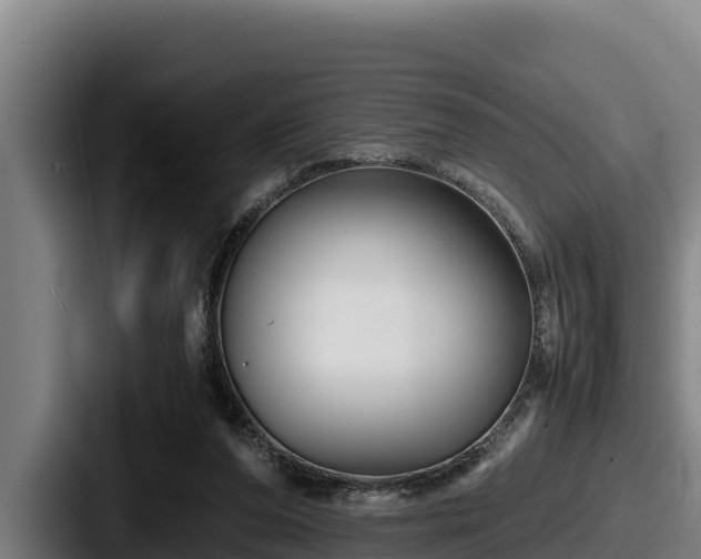 X0000087690208200705111327