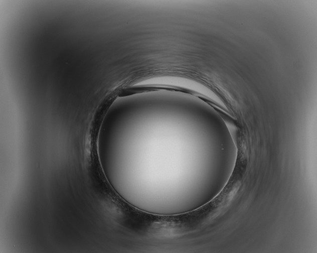 X0000087690211200705111327