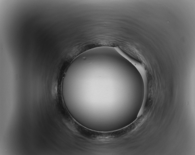 X0000087690213200705111327