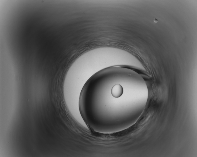 X0000087690215200705111327