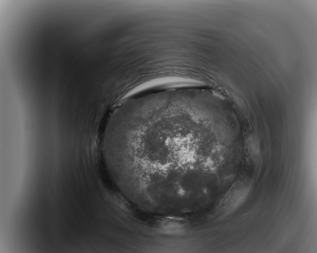X0000087690222200705111327