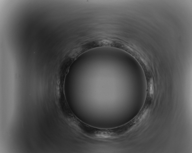 X0000087690223200705111327