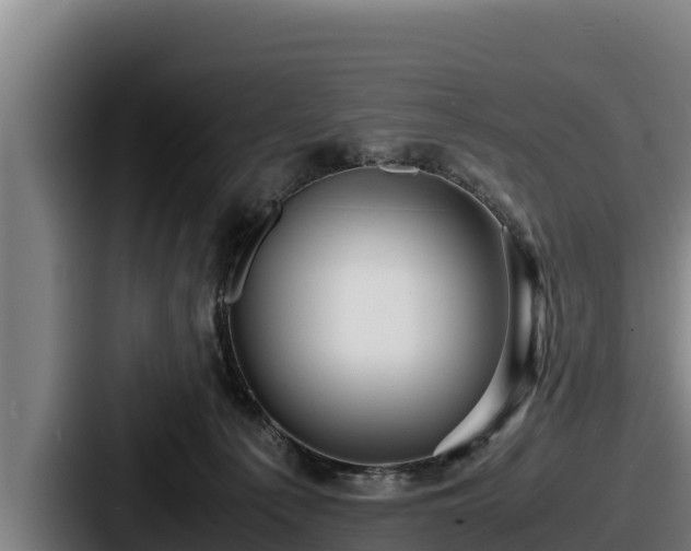 X0000087690225200705111327