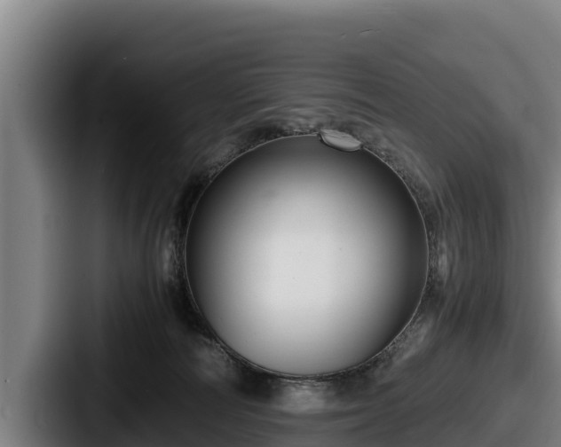 X0000087690226200705111327