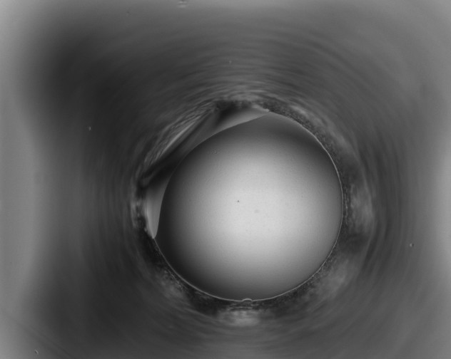 X0000087690228200705111327