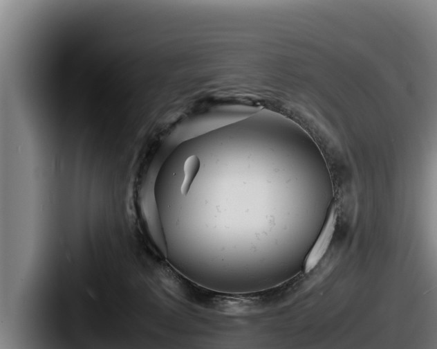X0000087690229200705111327