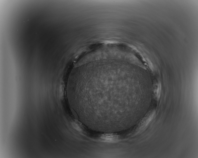 X0000087690231200705111327