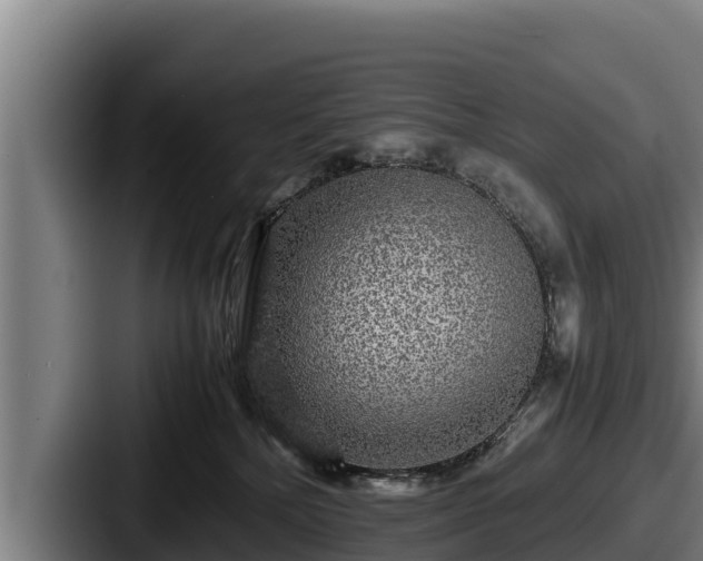 X0000087690232200705111327