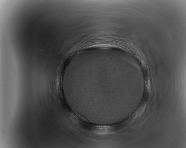 X0000087690233200705111327