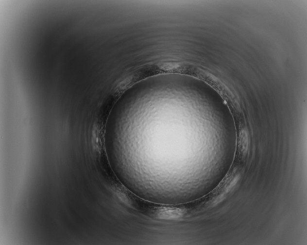 X0000087690234200705111327