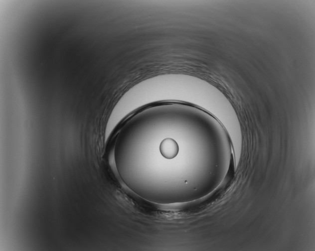 X0000087690237200705111327