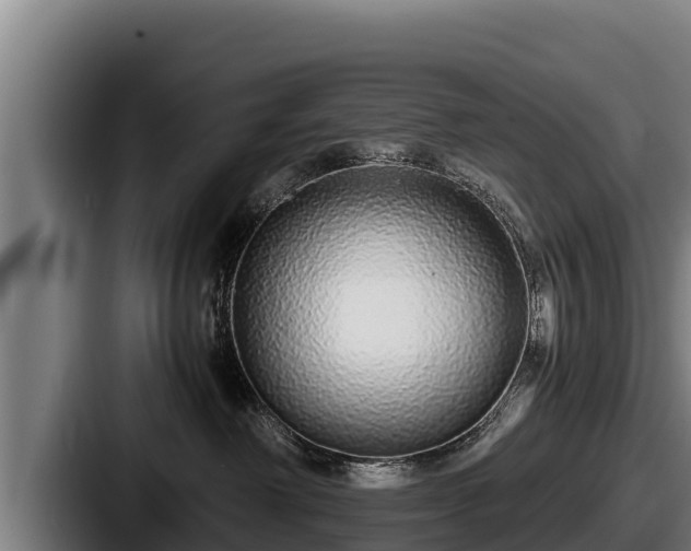 X0000087690238200705111327