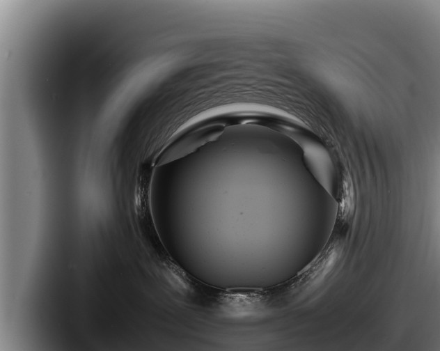 X0000087690239200705111327