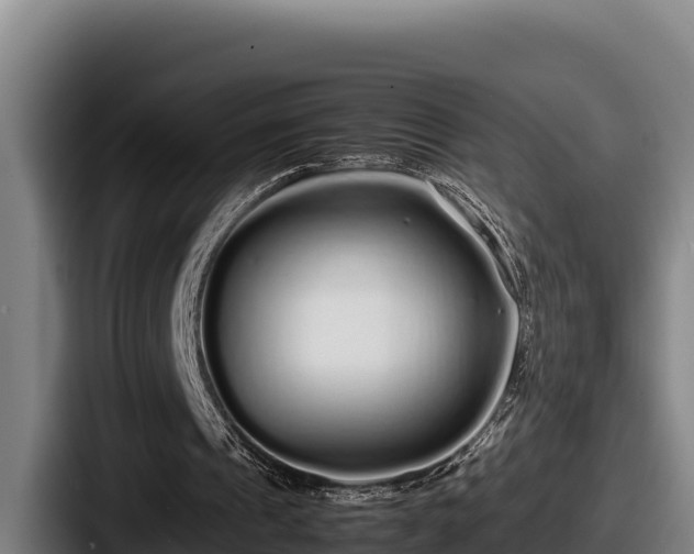 X0000087690241200705111326